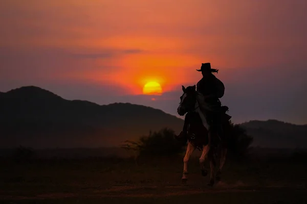 Sylwetka Kowboja Koniu Zachodzie Słońca Jako Tło — Zdjęcie stockowe