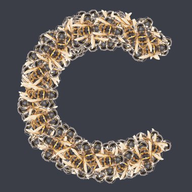 Bal arılı Latin yazı tipleri. Arkaplanı ayır