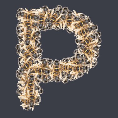 Bal arılı Latin yazı tipleri. Arkaplanı ayır