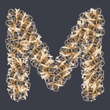 Bal arılı Latin yazı tipleri. Arkaplanı ayır