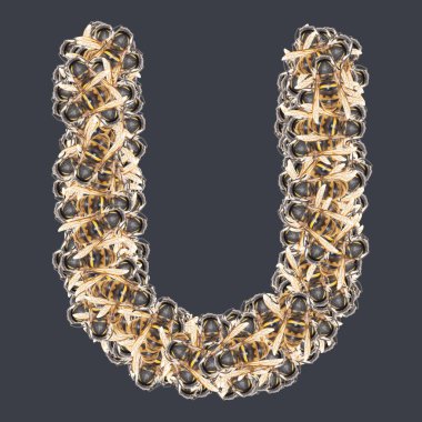 Bal arılı Latin yazı tipleri. Arkaplanı ayır