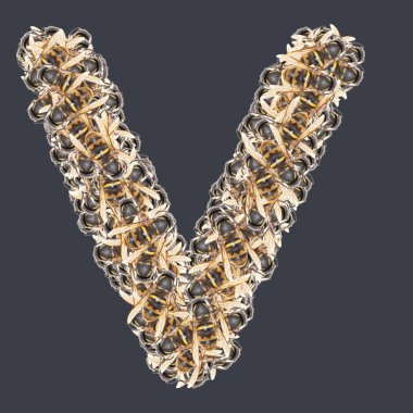 Bal arılı Latin yazı tipleri. Arkaplanı ayır