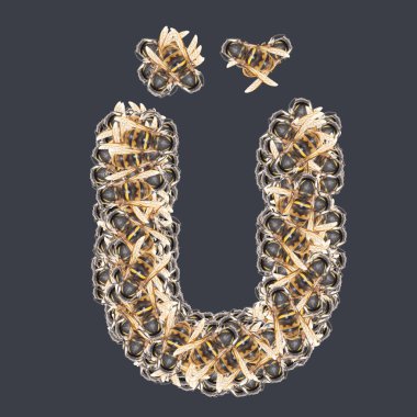 Bal arılı Türk ve Azerbaycan yazı tipleri. Arkaplanı ayır