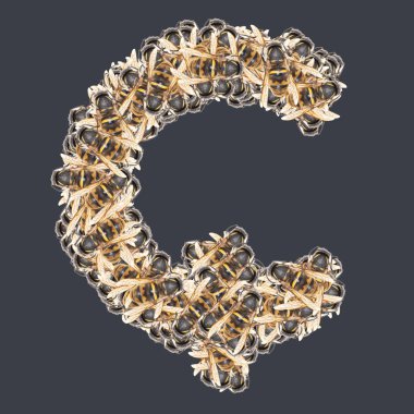 Bal arılı Türk ve Azerbaycan yazı tipleri. Arkaplanı ayır