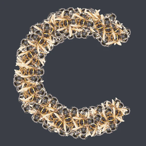 Bal arılı Latin yazı tipleri. Arkaplanı ayır