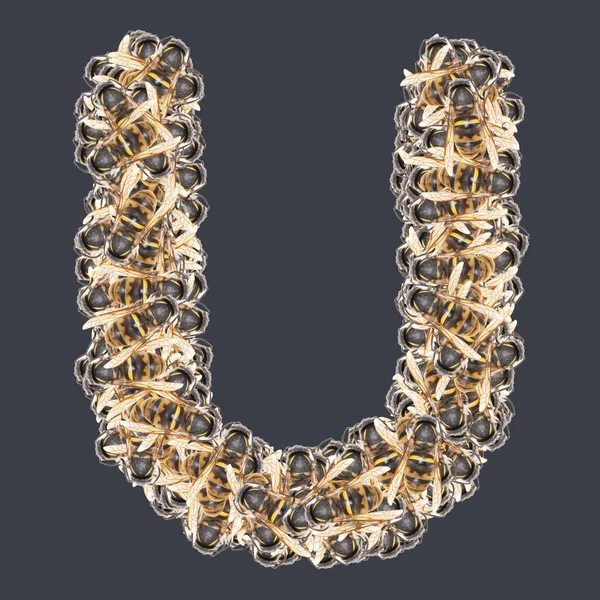 Bal arılı Latin yazı tipleri. Arkaplanı ayır