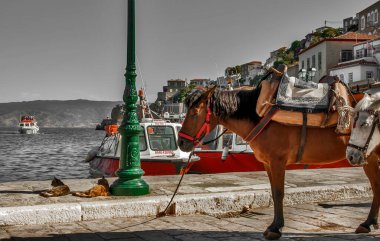 Hidra adası Saronik Körfezi 'nin en güzel adası olarak kabul edilir.