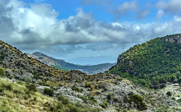 Незвичайне Шосе Змії Горах Саабрії Іспанії — стокове фото