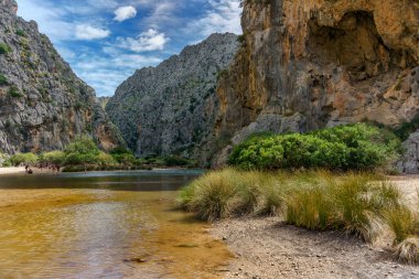 Mallorca İspanya 'da plaj ve dere.