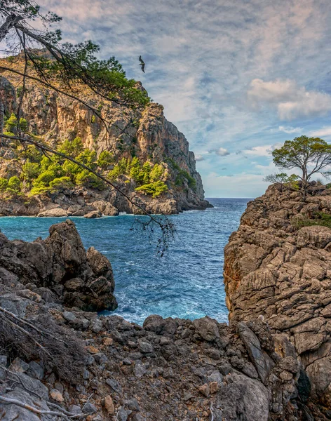 Die Türkisfarbene Farbe Des Meeres Der Bucht Von Calabria Spanien — Stockfoto