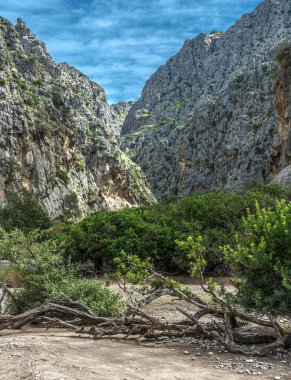 Mayorka 'daki sa calobra turistler için gerçek bir cennettir.