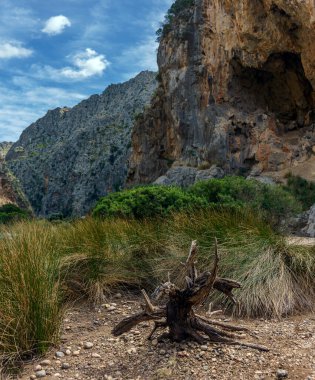 Mayorka 'daki sa calobra turistler için gerçek bir cennettir.