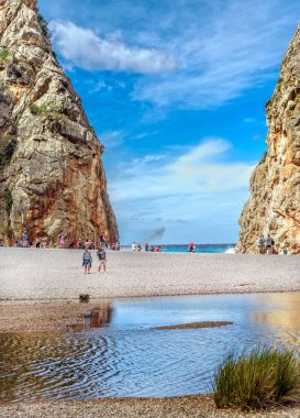 Mayorka 'da kalobra var. Dünya üzerinde harika bir yer.