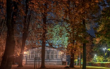 Parkta sonbahar aksanları