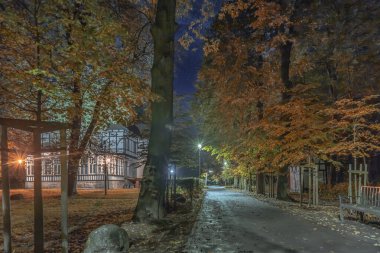 Parkta sonbahar aksanları