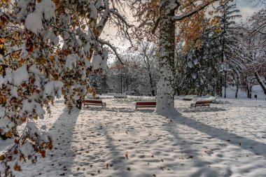 Kış, şehir parklarında manzarayı güzelleştirir.