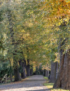 Sonbahar renkleri ve nostalji dolu bir atmosfer.