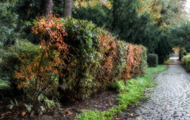 Sonbahar renkleri ve nostalji dolu bir atmosfer.