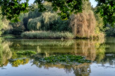 Parkta doğal sonbahar renkleri