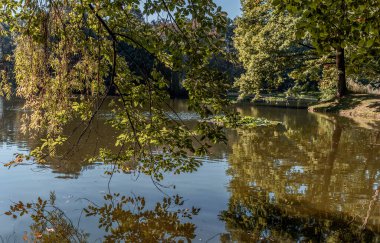 Parkta sonbahar manzarası