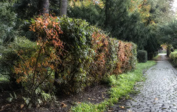 Sonbahar renkleri ve nostalji dolu bir atmosfer.