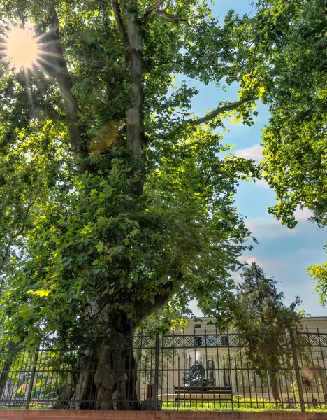 Sonbahar renkleri yılın en güzel mevsimi olarak kabul edilir.