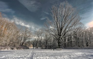 Şiddetli kar yağışı ile aniden kış saldırıları
