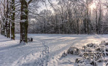 Kış sonsuza dek geldi, her yeri beyaz karla kapladı.