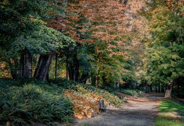 Sonbahar renkleri eşsizdir