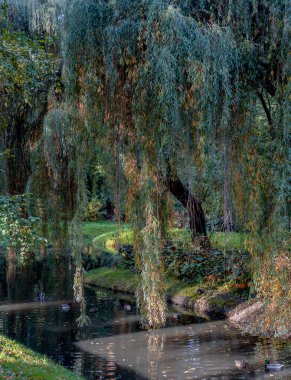 Sonbahar renkleri eşsizdir