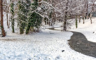 Ağaçlarla kaplı kar taneleri ve parklardaki çayırlar.