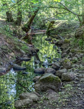 Poczyn-Zdrj 'deki İngiliz parkı Borkw' a uzanır, Wogra nehri boyunca iki kilometre boyunca.