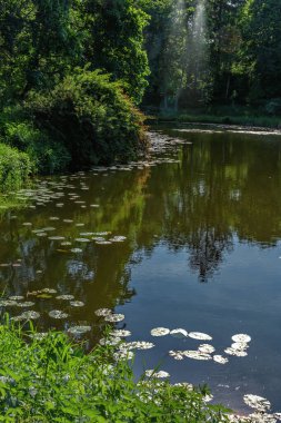 Drawsko peyzaj parkının sınırsız doğal kaynakları