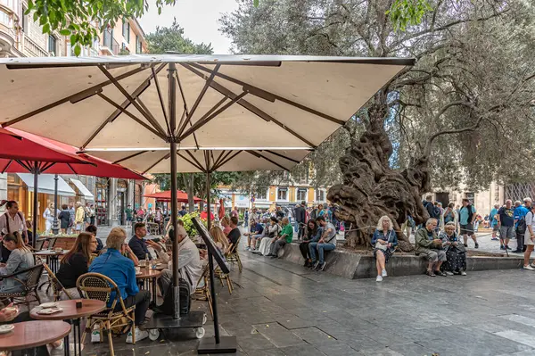 Palma, Mayorka 'nın başkenti, dünyanın dört bir yanından birçok turist tarafından ziyaret edildi.