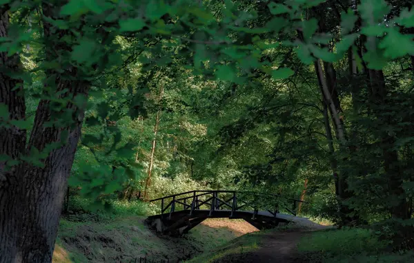 Drawsko peyzaj parkının sınırsız doğal kaynakları