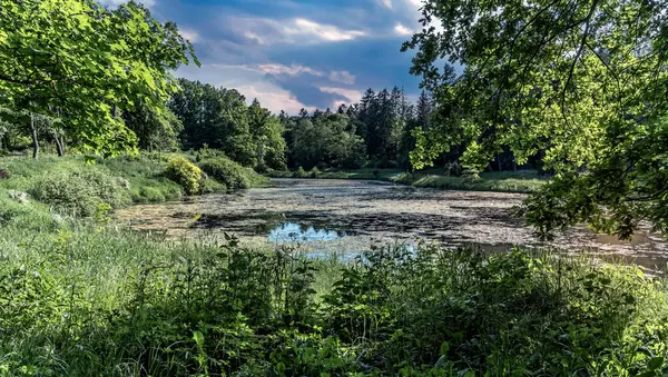Drawsko peyzaj parkının sınırsız doğal kaynakları