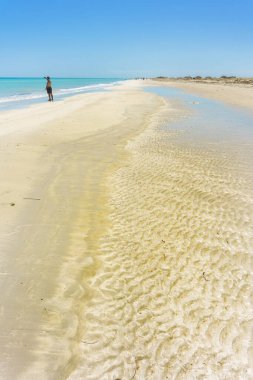 Her gün yüzlerce turist Flamingo adasına geliyor ve onları bekleyen bir sürü eğlence var.