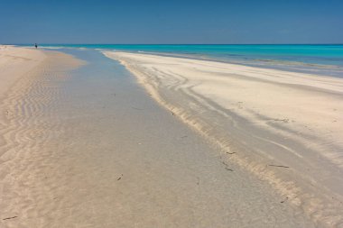 Her gün yüzlerce turist Flamingo adasına geliyor ve onları bekleyen bir sürü eğlence var.