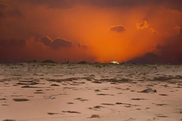 Her gün yüzlerce turist Flamingo adasına geliyor ve onları bekleyen bir sürü eğlence var.