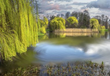 Suya taş attıktan sonra muhteşem çözülme çemberleri.