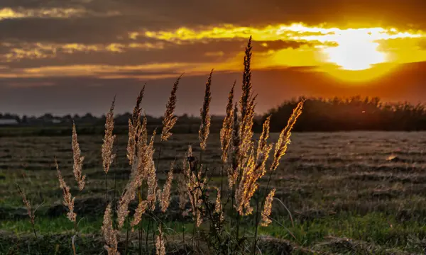 Yılın herhangi bir zamanında resimli günbatımı
