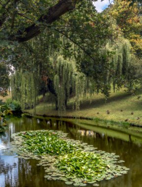 Sonbahar yılın özel bir zamanıdır. Yaz ve kış arasındaki bu geçiş dönemi, doğanın kış uykusuna hazırlandığı zamandır.