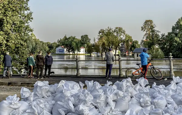 Kıyıda büyük bir sel, Oder Nehri 'ndeki köprüyü kurtarmak için büyük bir toplum seferberliği.