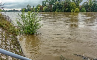 Sel kontrol operasyonları zordu çünkü çoğu yerde Brzeg kasabasındaki odra nehri yatağını taşırdı.