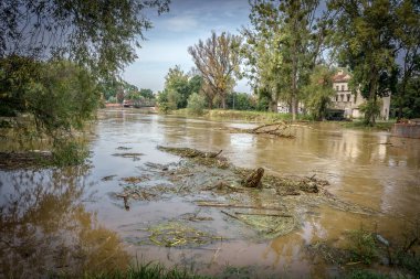 Sel kontrol operasyonları zordu çünkü çoğu yerde Brzeg kasabasındaki odra nehri yatağını taşırdı.