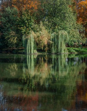 Sonbaharda ağaçların yaprakları renk değiştirmeye başlar ve orman kahverengiler, sarılar ve kırmızılar tarafından domine edilir.