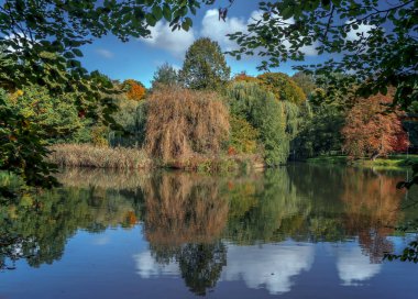 Sonbaharda ağaçların yaprakları renk değiştirmeye başlar ve orman kahverengiler, sarılar ve kırmızılar tarafından domine edilir.