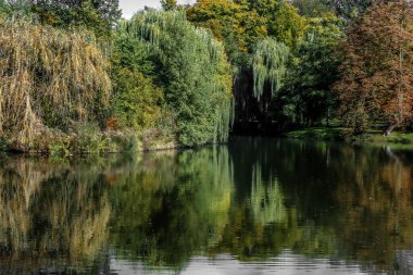 İnsan gözüne ulaşmanın zor olduğu bölgelerde vahşi, vahşi doğa.