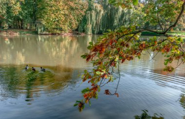 Sonbahar melankoli, sis, örümcek ağları ve renk paletiyle her romantik ruh için bir merhemdir.
