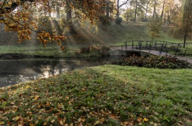 Geleneksel sonbahar yaprakları şelalesinde inanılmaz derecede nostaljik ve anlamlı bir şey var.